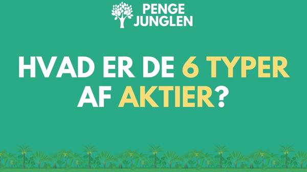 Hvad Er De 6 Typer Af Aktier?